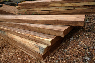 Wood for the furniture industry.