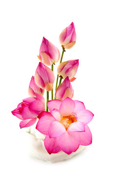 Fototapeta Flower arrangements with lotus on isolate white background.