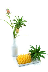 Pineapple slices in a white background.