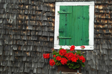 Old wooden house with green shutter