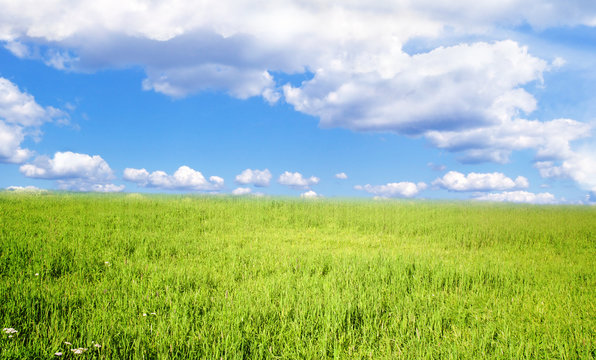Grass field under blue sky.