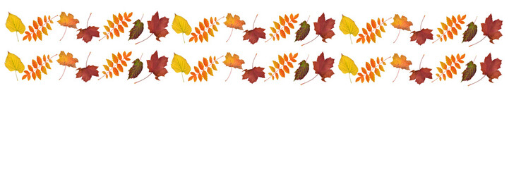 fallende Blätter, goldener Herbst, Laub