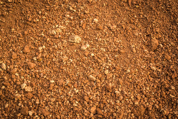 laterite soil