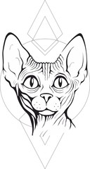 Close up of sphynx cat. Vector illustration. Tattoo style.Pet Shop label, signboard for your business