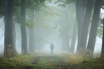 Man in hoodie walking alone in a lane on a foggy, autumn morning. Shallow D.O.F.