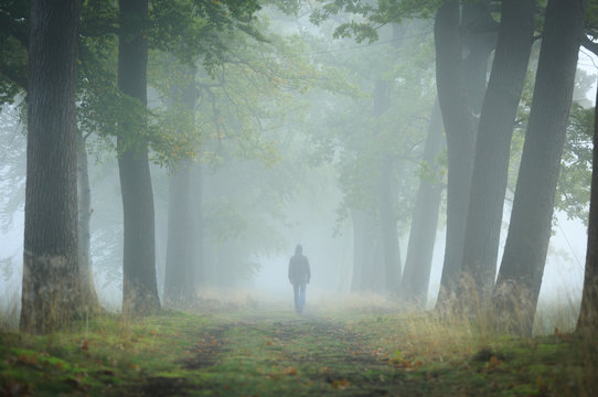 Fototapeta Man in hoodie walking alone in a lane on a foggy, autumn morning. Shallow D.O.F.