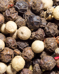 Macro closeup of Mixed Peppercorns