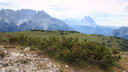 Naklejka na ściany i meble panorama dal monte Specie (Dolomiti). Sullo sfondo le tre cime di Lavaredo.