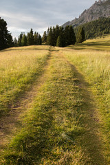 Prato Piazza (Trentino Alto Adige)