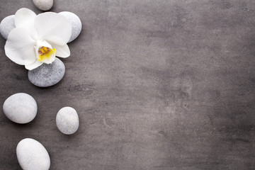 Obraz na płótnie Canvas White orchid and spa stones on the grey background.