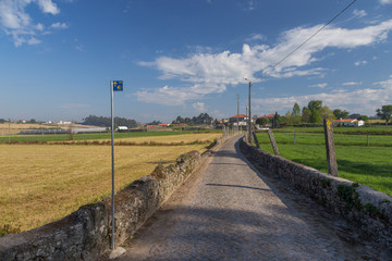 Camino Portugues near Rates © maartenhoek