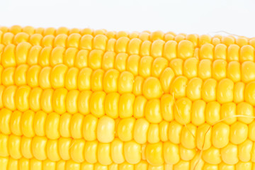ears of Sweet corn isolated on white background
