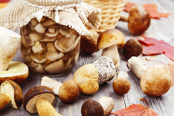 Fototapeta premium Canned mushrooms