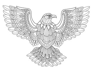 Obraz premium flying eagle