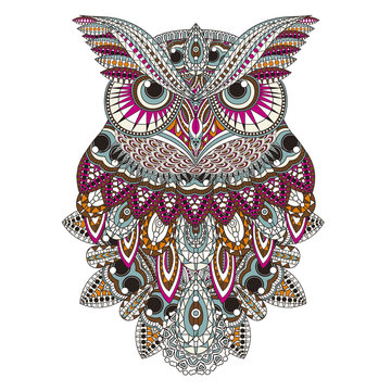 sumptuous owl