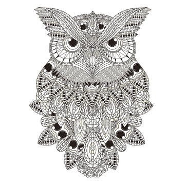 sumptuous owl