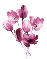 Obraz na płótnie Canvas Color illustration of flowers in watercolor paintings