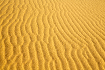 africa the brown sand dune in   sahara morocco desert line