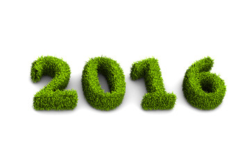 2016 new year grassed concept isolated on white background