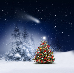 Geschmückter Tannenbaum im Winterwald