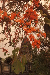 ASIA THAILAND ISAN KHORAT PHIMAI KHMER TEMPLE