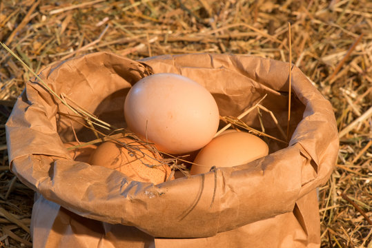 rustic chicken eggs are packed in bag close-up
