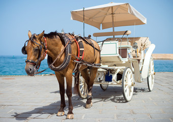 Naklejka na ściany i meble Horse and vintage carriage on the pier near the sea.