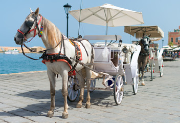 Naklejka na ściany i meble Horses and vintage carriages on the pier near the sea.