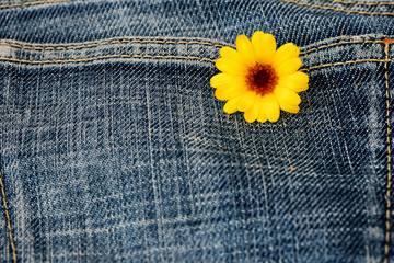 denim texture and flower
