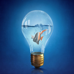 Fish in bulb