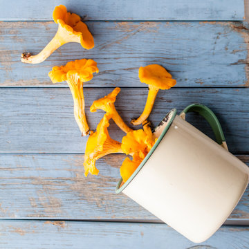 kantareller mot sliten turkos tr&auml;bakgrund