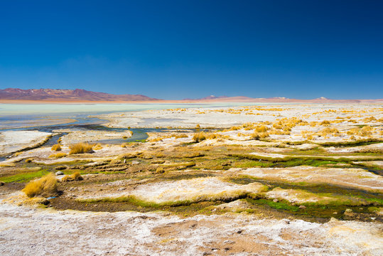 Colorful hot spring on the Andes, Bolivia