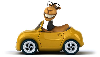Fun camel