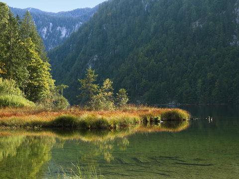 Am Toplitzsee / Salzkammergut / Steiermark / &Ouml;sterreich
