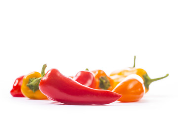 Red, yellow and orange pepper on white background