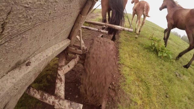  ancient horse carts wheel riding on a very muddy road close up 
