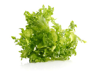 Green lettuce on white background.