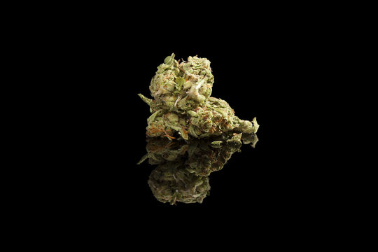 Marijuana bud isolated.
