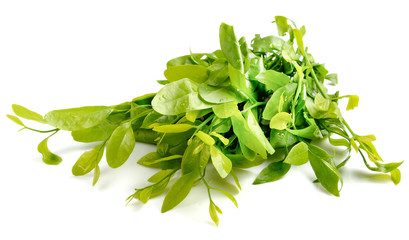 Green vegetables on white background.