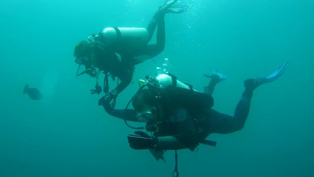Scuba divers, man and woman immersed in depth 
