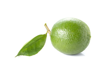 Green lemon,leaves on white background.