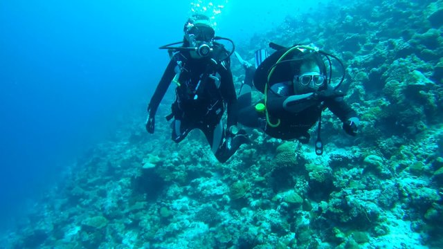 Scuba divers, man and woman swimming near a coral reef during 
