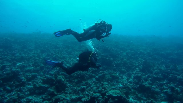 Scuba divers, man and woman swimming near the coral reef
