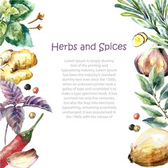 Watercolor collection of fresh herbs and spices isolated.