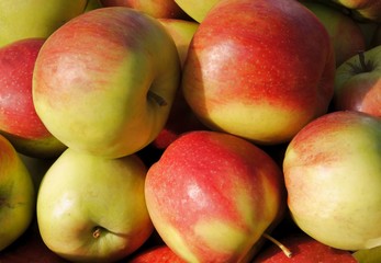 tasty apples