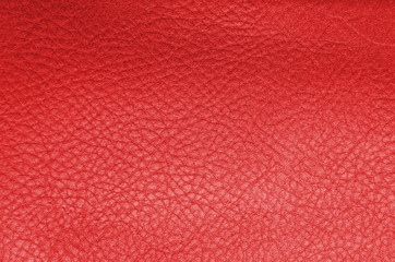 Fototapeta premium brown leather texture