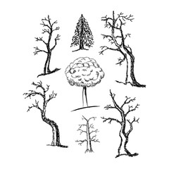 hand-drawing, a set of trees, old and dry tree, a tree with