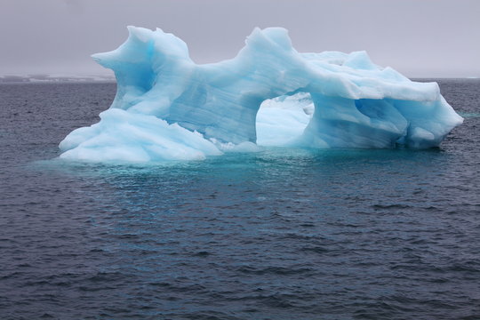 Iceberg
 