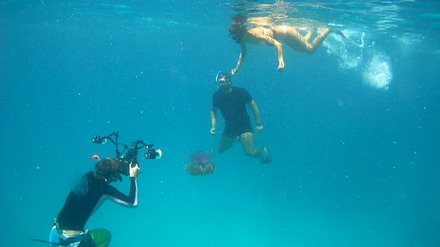Underwater photographer shooting Underwater photographer shoots a man and a woman on the background of a Cauliflower jellyfish (Cephea cephea) 
