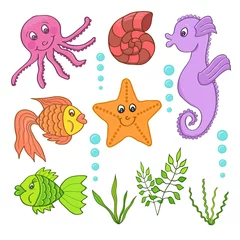 Papier Peint photo Sous la mer Illustration des créatures marines